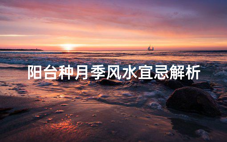 阳台种月季风水宜忌解析