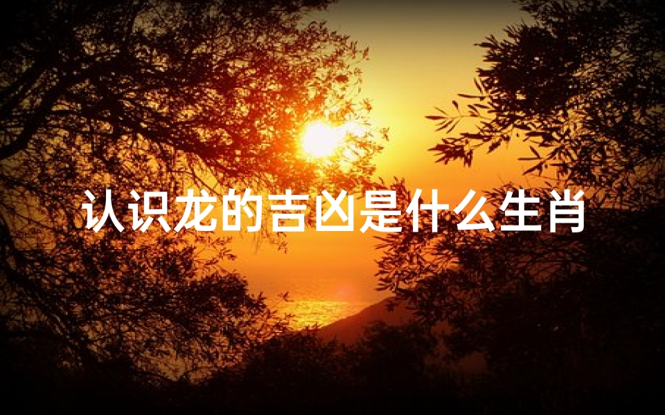 认识龙的吉凶是什么生肖—我想看看龙是什么