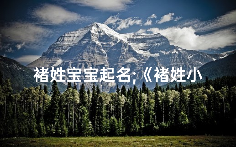 褚姓宝宝起名;《褚姓小孩名字精选:创意取名新风向》-东贵算卦网