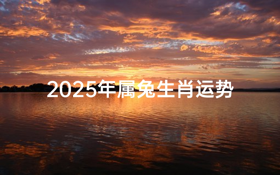2025年属兔生肖运势