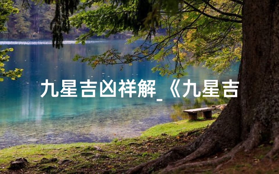 九星吉凶祥解_《九星吉凶揭秘:解读命理风水奥秘》