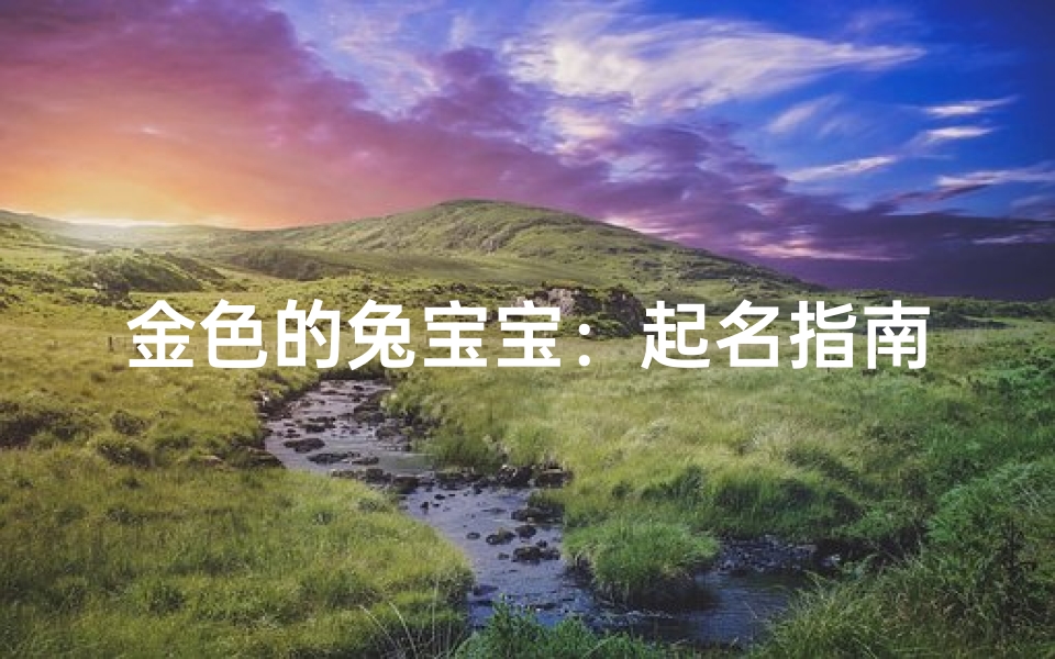 金色的兔宝宝:起名指南