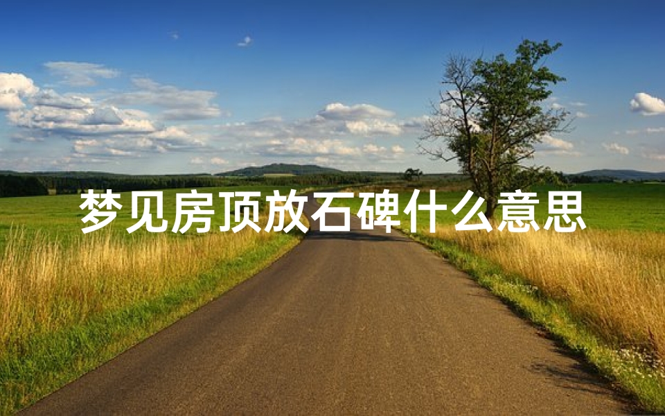 梦见房顶放石碑什么意思_梦见望房顶放石头是什么意思