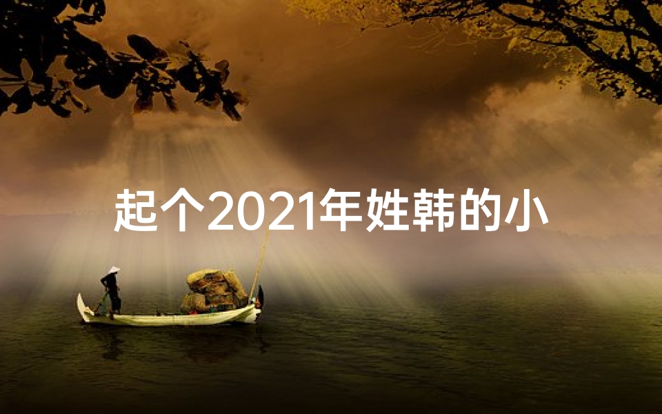 起个2021年姓韩的小男孩名字-《韩氏宝宝,名字大搜罗,创意无限》