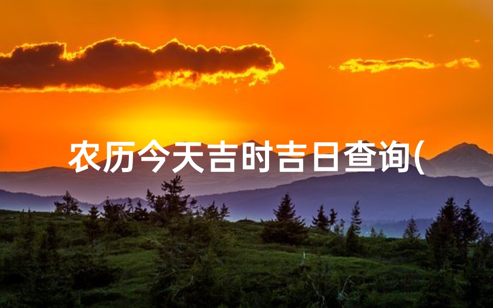 农历今天吉时吉日查询(2025年农历二月二十八日是黄道吉日吗)