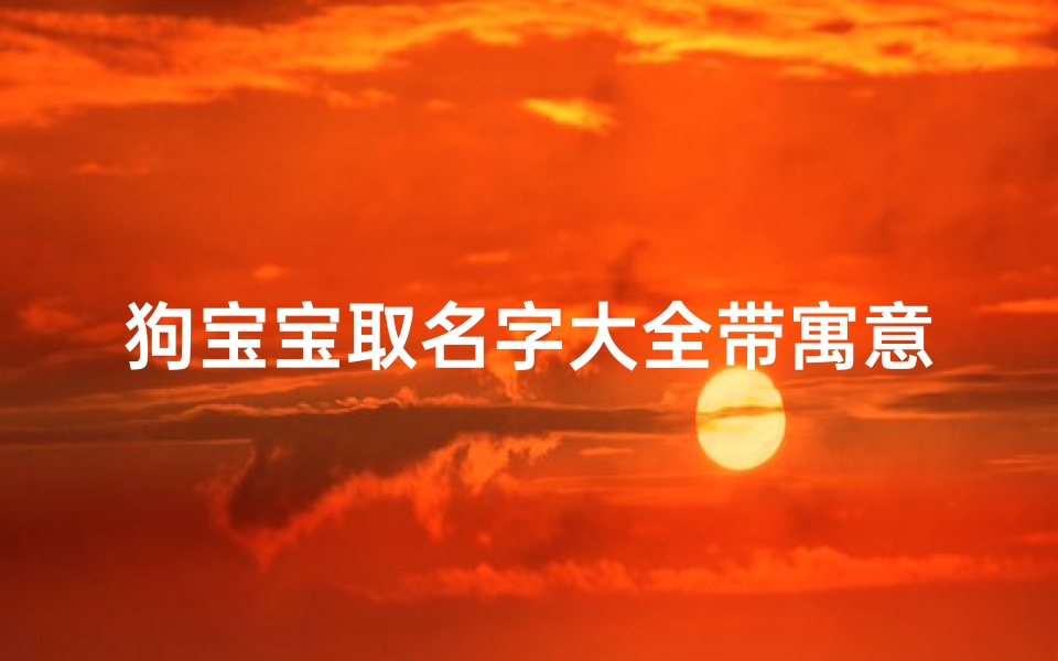 狗宝宝取名字大全带寓意(狗狗取名大全,霸气又聚财的狗狗名字)