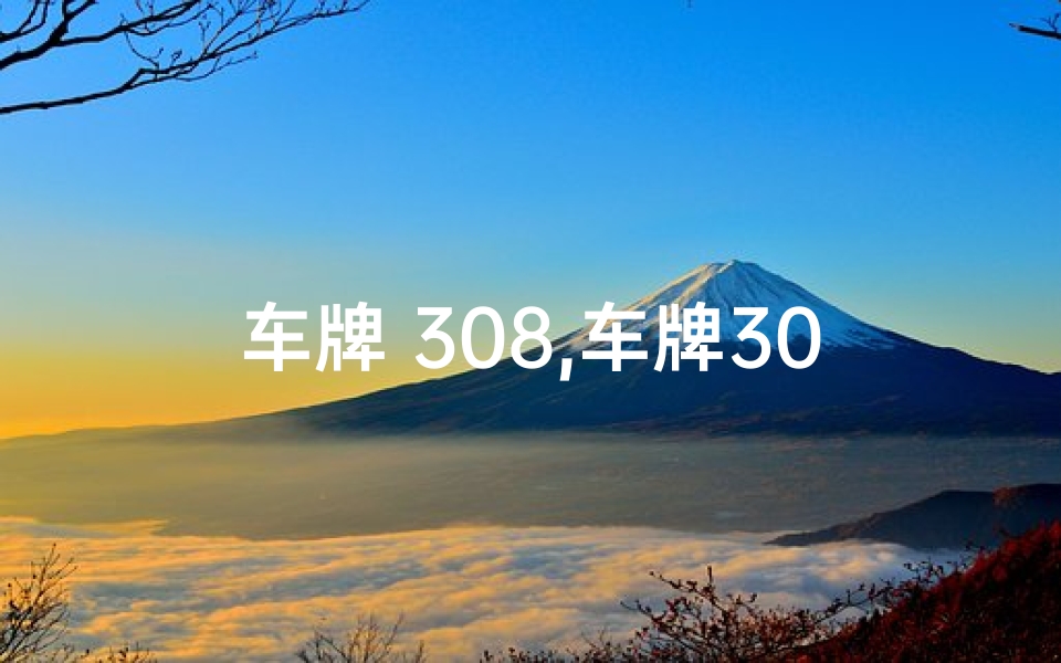 车牌 308,车牌3087吉凶揭秘:数字背后的运势秘密