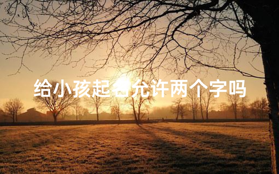 给小孩起名允许两个字吗