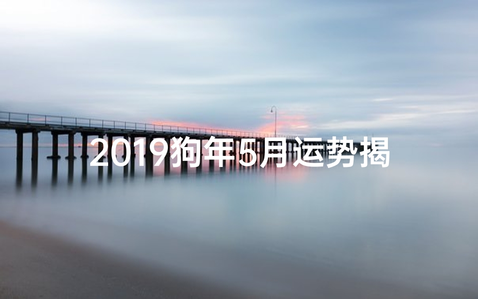 2019狗年5月运势揭秘:财运亨通,事业腾飞-东贵算卦网