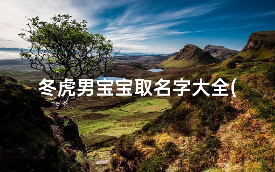 冬虎男宝宝取名字大全(十一月出生的属虎怎么取名)