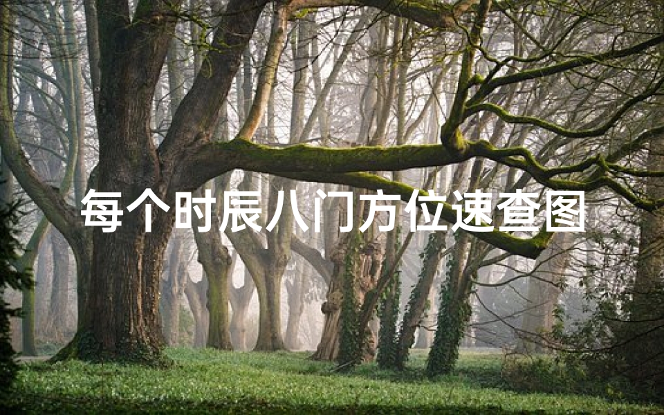 每个时辰八门方位速查图片,《十二时辰吉凶一览图解,揭秘每日运势秘密》