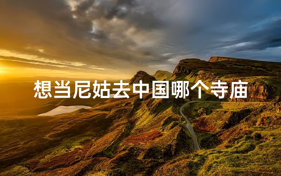 想当尼姑去中国哪个寺庙