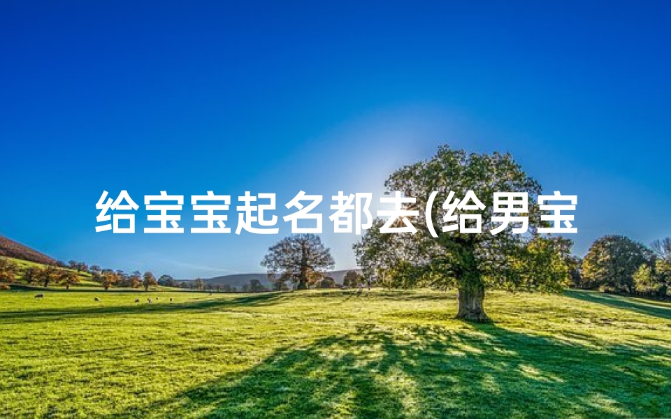 给宝宝起名都去(给男宝宝取名字大全)
