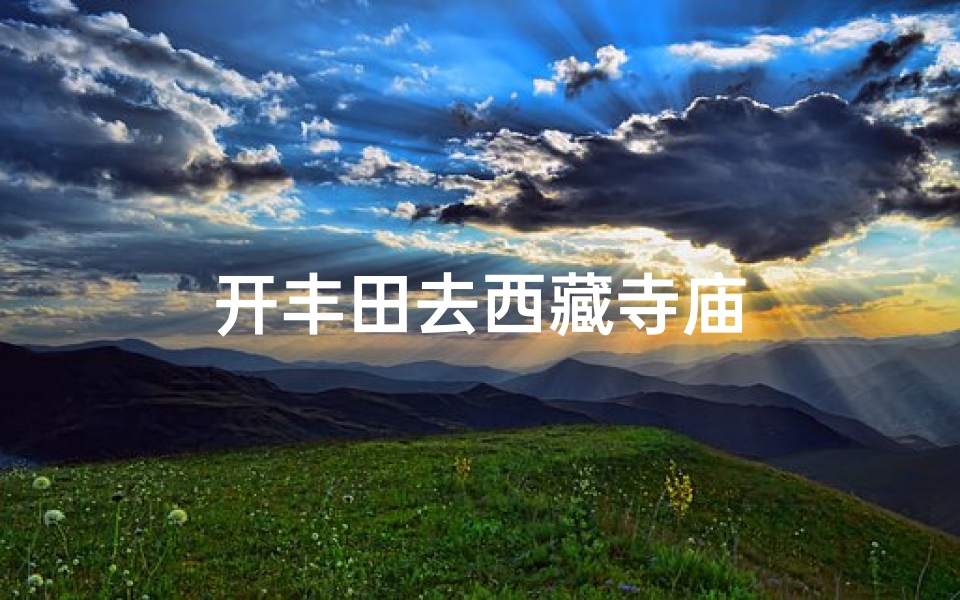 开丰田去西藏寺庙