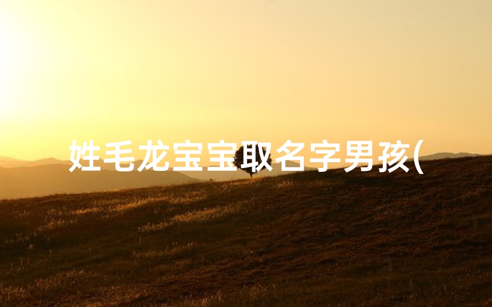 姓毛龙宝宝取名字男孩(《毛龙宝宝:传承龙脉,龙腾四海的男孩名字》)