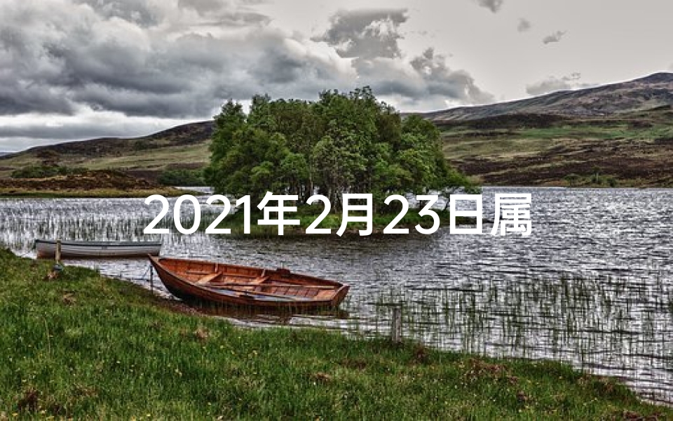 2021年2月23日属相(《2023年2月1日生肖运势揭秘:运势吉凶一览》)