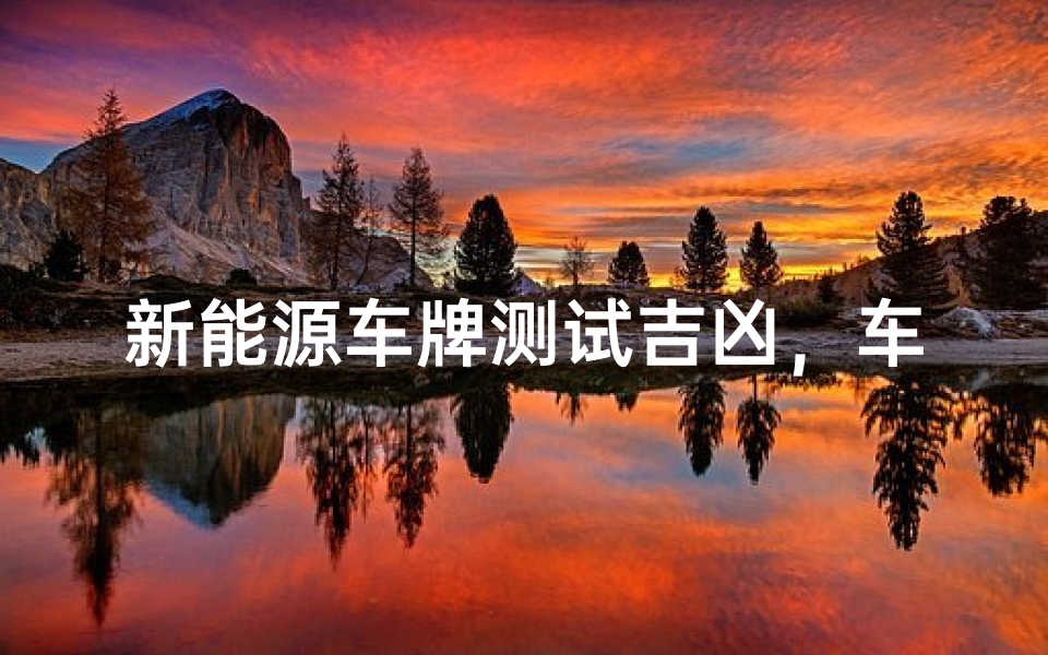 新能源车牌测试吉凶,车牌号码风水解析