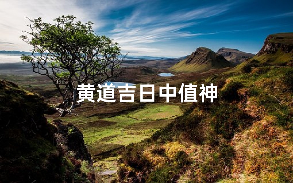 黄道吉日中值神