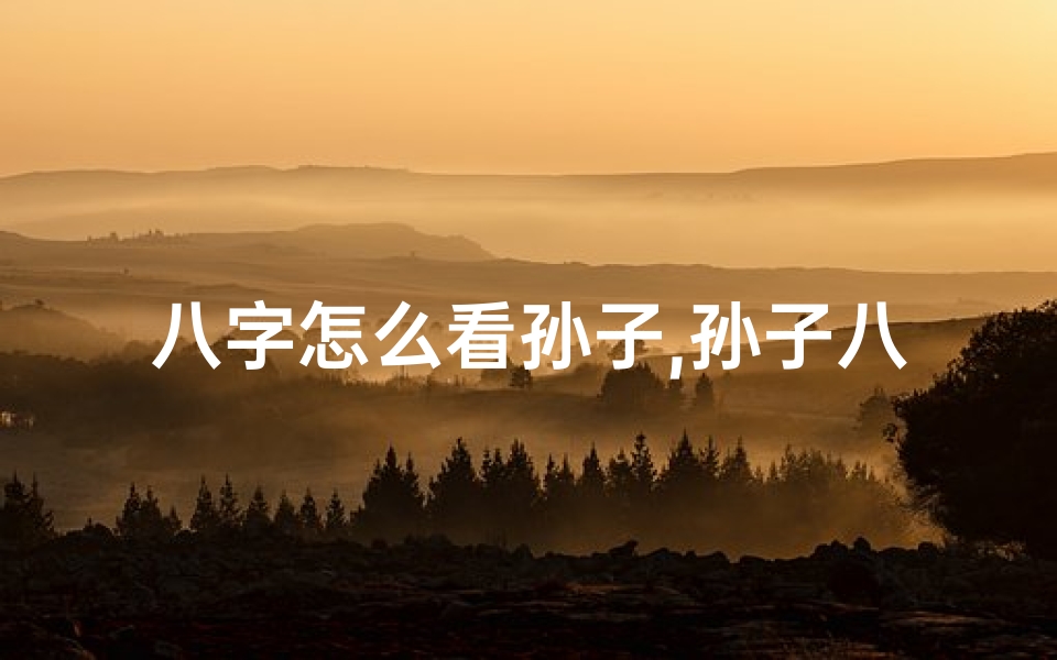 八字怎么看孙子,孙子八字命理预测准确性探讨