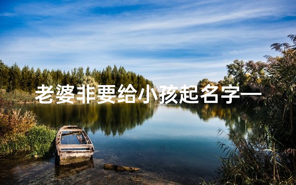 老婆非要给小孩起名字—《老婆执意给娃取名,全家陷入取名大战》