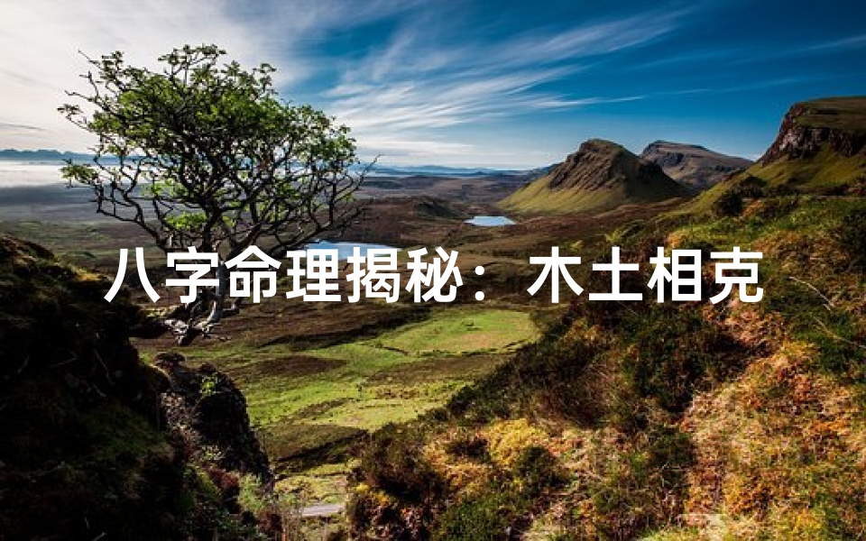 八字命理揭秘:木土相克,命运如何?