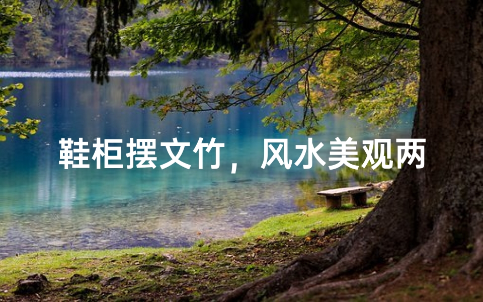 鞋柜摆文竹,风水美观两相宜