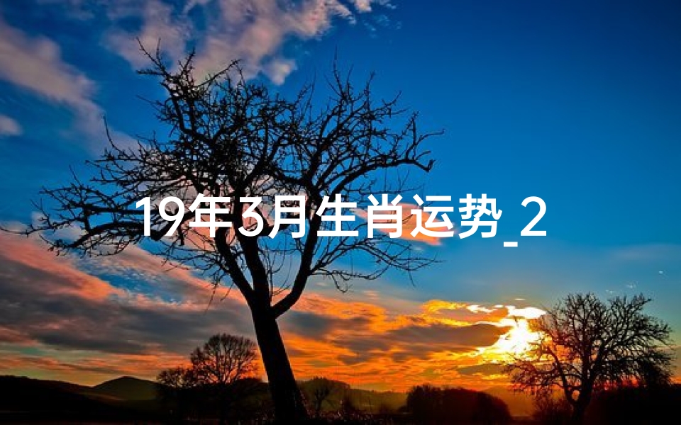 19年3月生肖运势_2019年三月属猪的命运如何