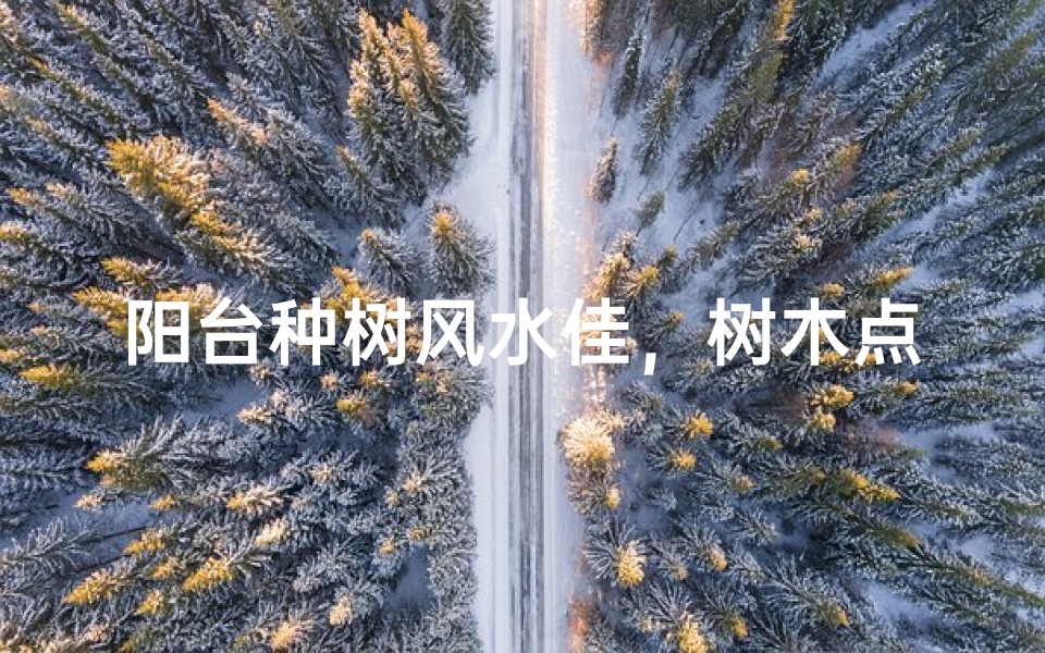 阳台种树风水佳,树木点缀美家园