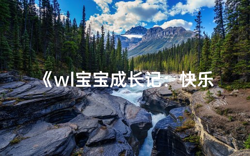 《wl宝宝成长记:快乐每一天》