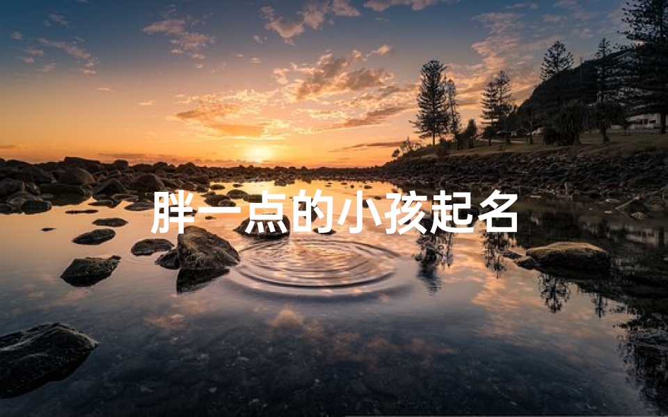 胖一点的小孩起名