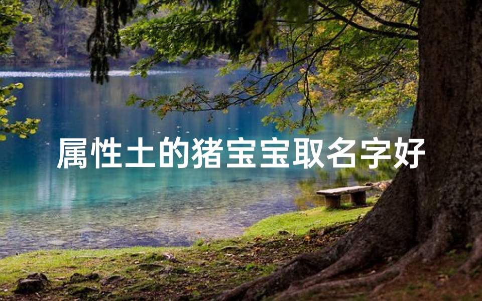 属性土的猪宝宝取名字好吗-土猪宝宝吉祥名:福土金猪,福满人间