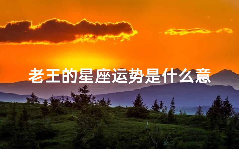 老王的星座运势是什么意思