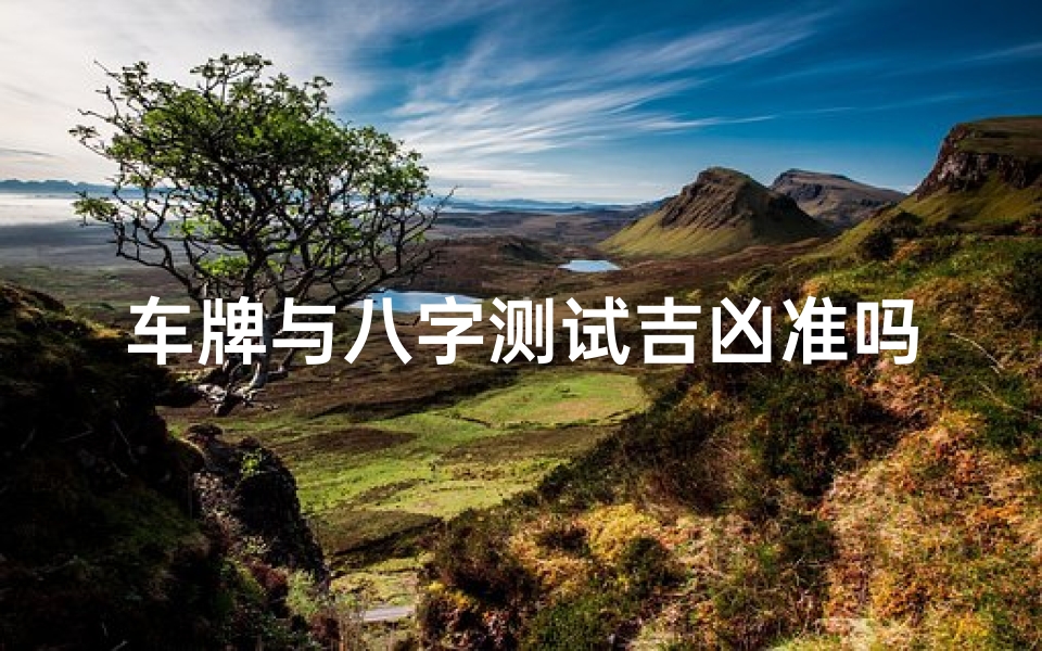 车牌与八字测试吉凶准吗(车牌真的有吉凶之分吗车牌号凶吉可信吗 )
