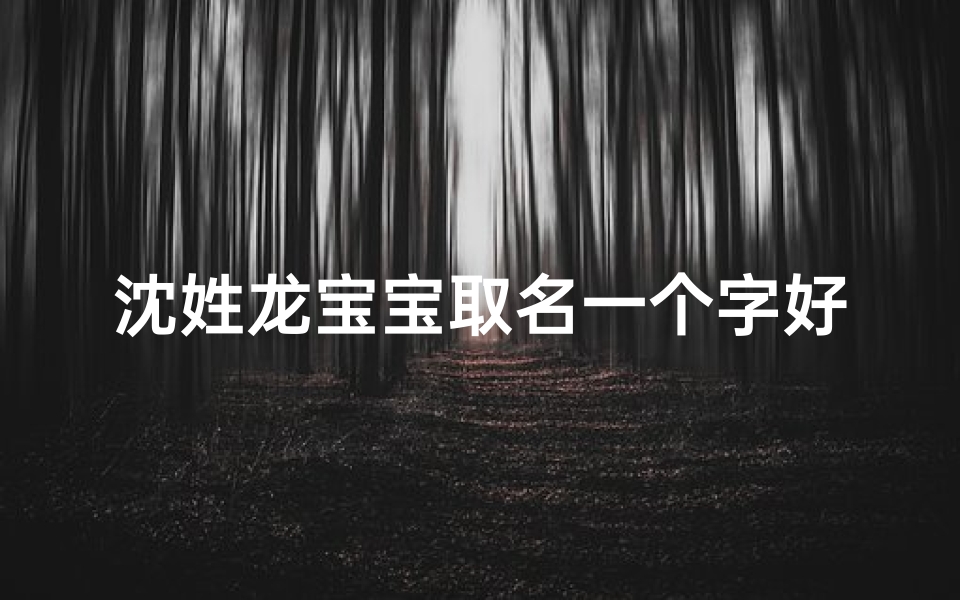 沈姓龙宝宝取名一个字好吗