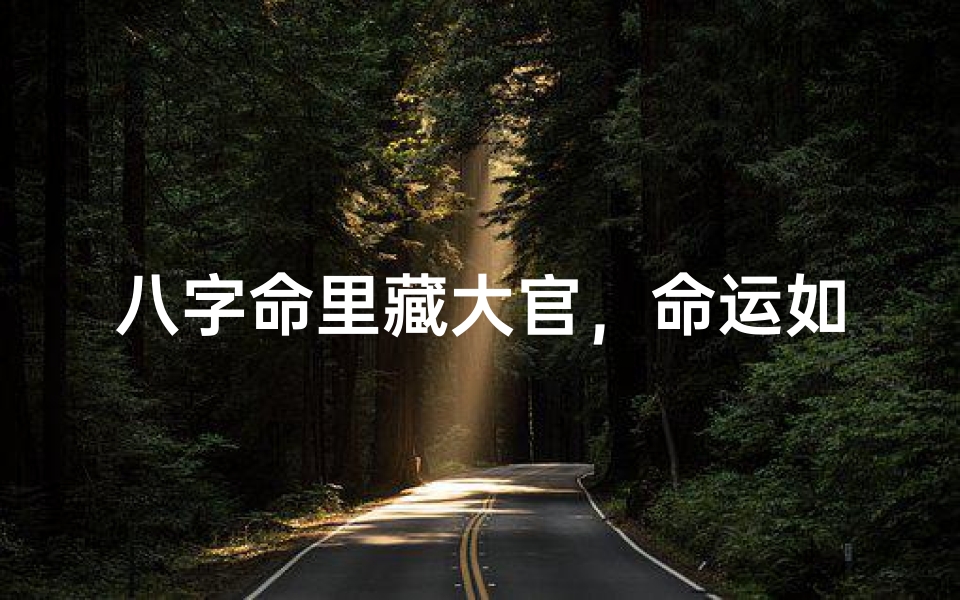 八字命里藏大官,命运如何?