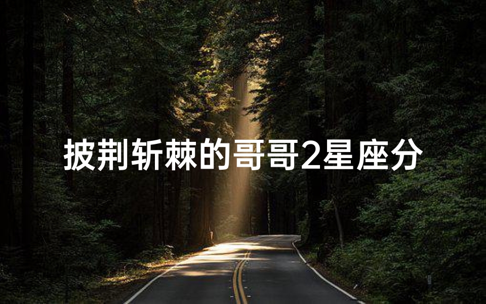 披荆斩棘的哥哥2星座分析(星梦偶像计划的人物介绍)