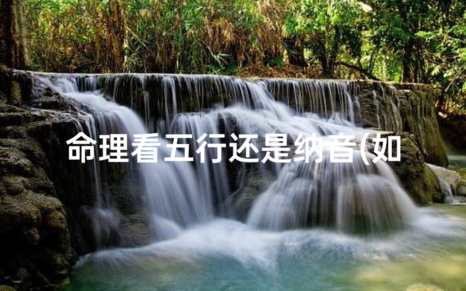命理看五行还是纳音(如何看五行属什么)