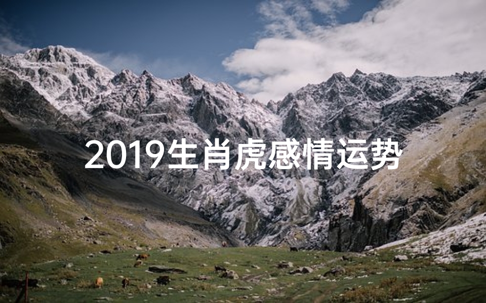 2019生肖虎感情运势、属虎人2019年运势运程每月运程