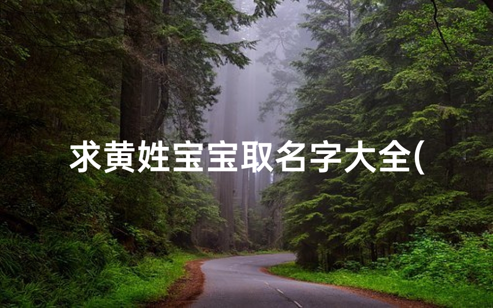 求黄姓宝宝取名字大全(黄姓男孩名字大全两个字)