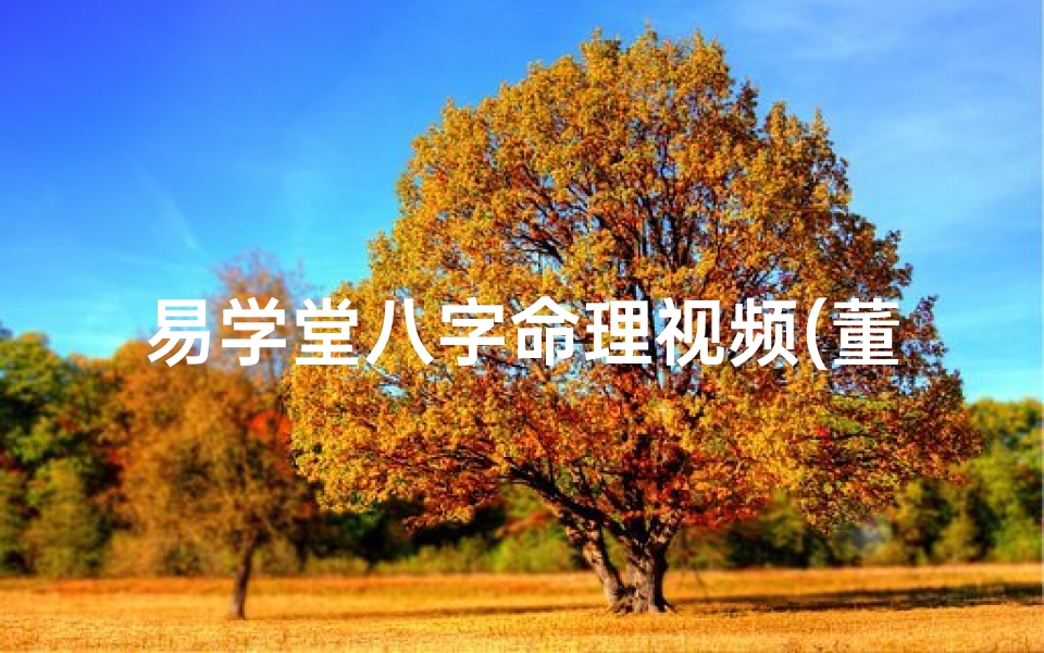 易学堂八字命理视频(董易奇2025年生肖猴运程,猴人2025年运势)