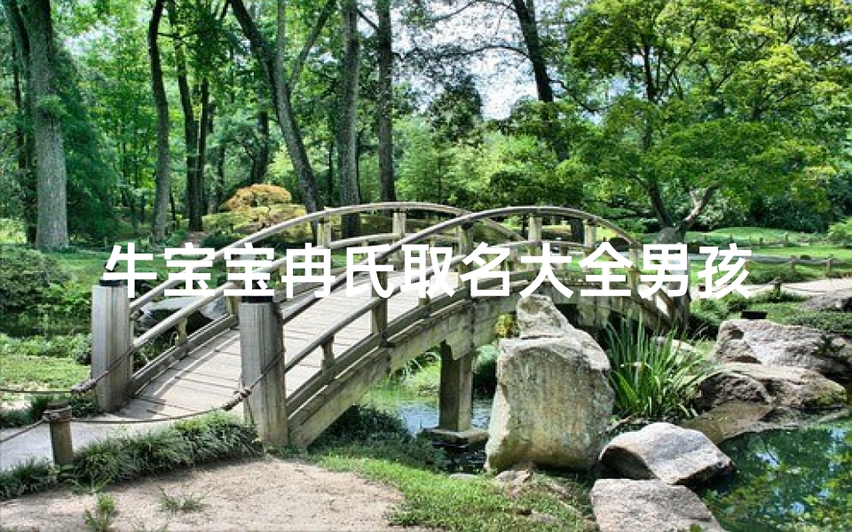 牛宝宝冉氏取名大全男孩—《牛宝宝冉氏取名大全:男孩名字精选集》