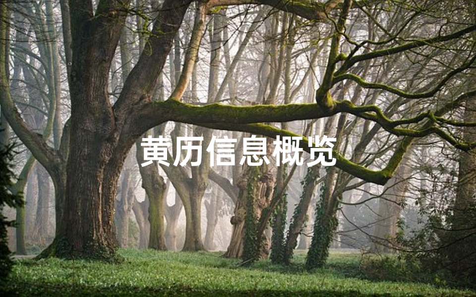 黄历信息概览