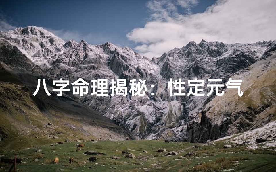 八字命理揭秘:性定元气厚,运势翻倍涨