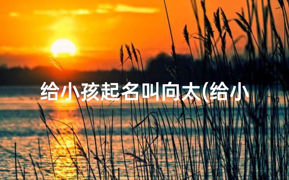 给小孩起名叫向太(给小孩起名叫向太什么意思)