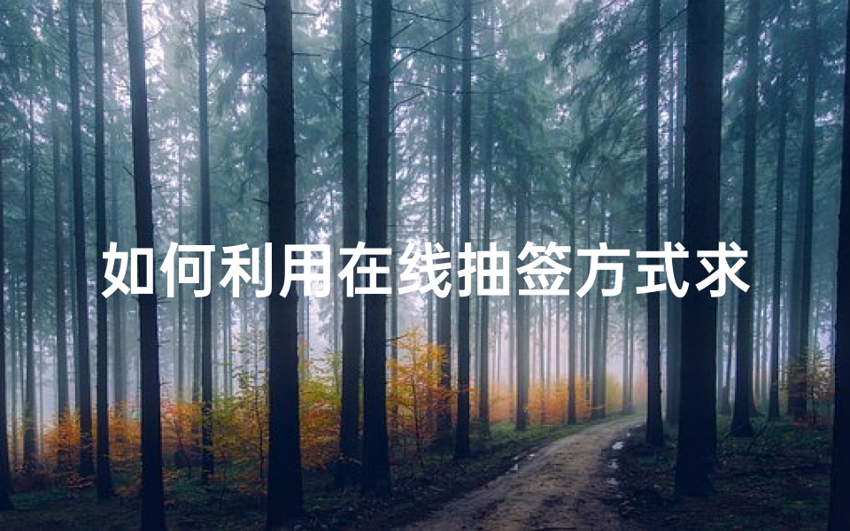 如何利用在线抽签方式求签提高准确性