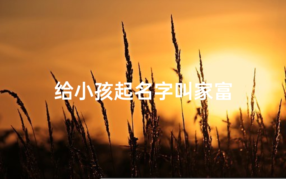 给小孩起名字叫家富