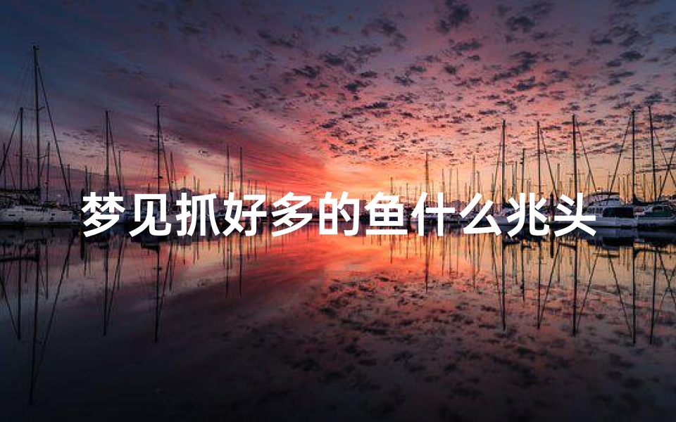 梦见抓好多的鱼什么兆头、做梦见抓好多鱼,好不好