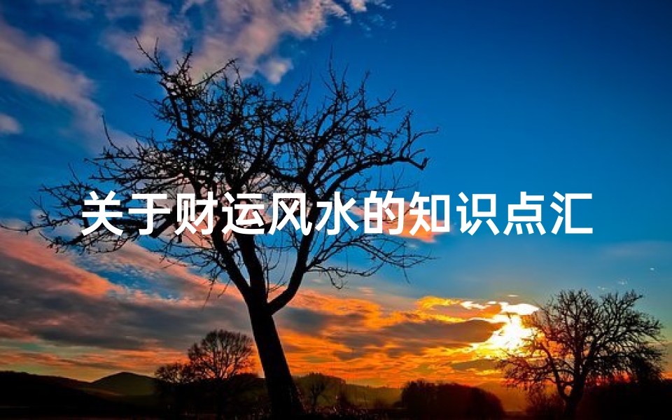 关于财运风水的知识点汇总(想发财一定要注意生活中这些风水知识)