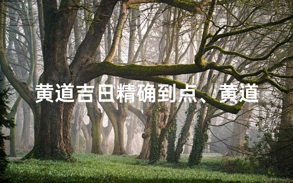 黄道吉日精确到点、黄道吉日怎么理解是正确的