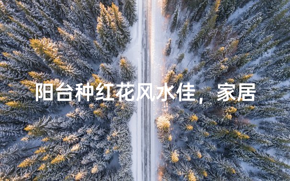 阳台种红花风水佳,家居旺运好风水